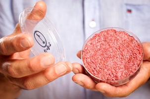 Florida bans lab-grown meat