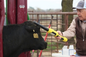 Legislation To Prevent Mandatory Electronic Tagging Of Livestock