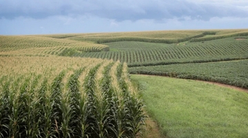 Iowa offers increased crop cost-share incentives