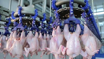 $4.8m in Wage Damages for California Poultry  Workers